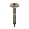 Steel Survey Nail