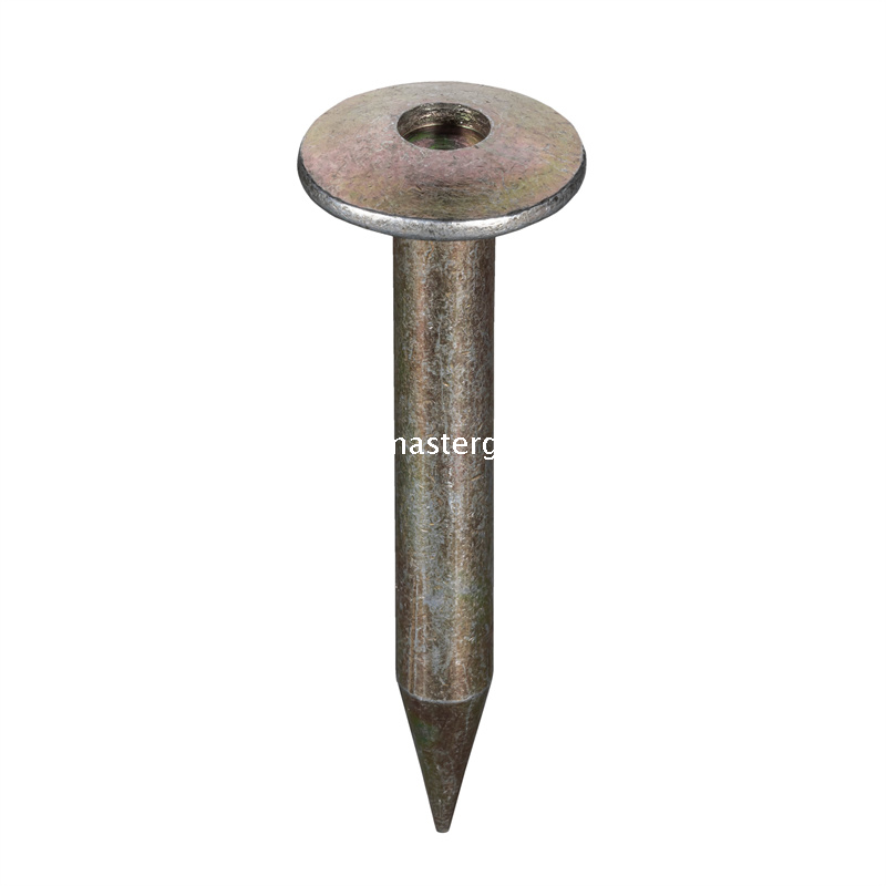 Steel Survey Nail