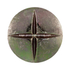 Steel Survey Nail