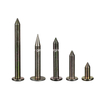 Steel Survey Nail