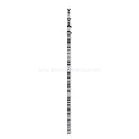 Telescopic Barcode Staff