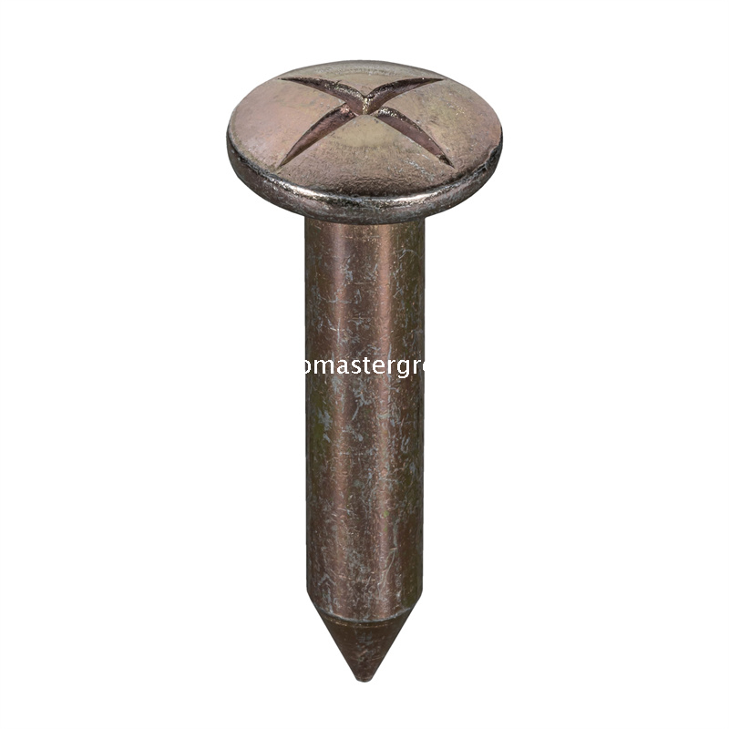 Steel Survey Nail