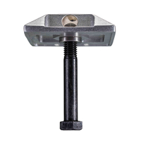 Road Prism (Cat's Eye Prism)