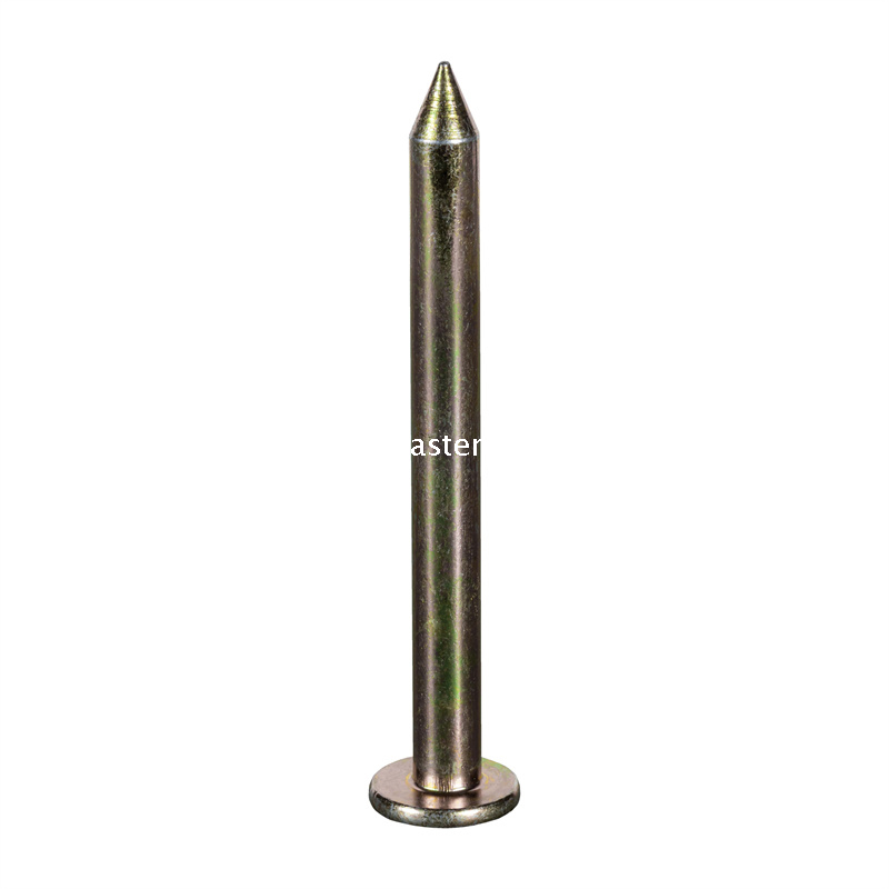 Steel Survey Nail
